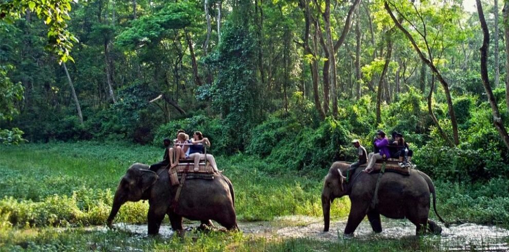 Travel Nepal And do Tiger Safari