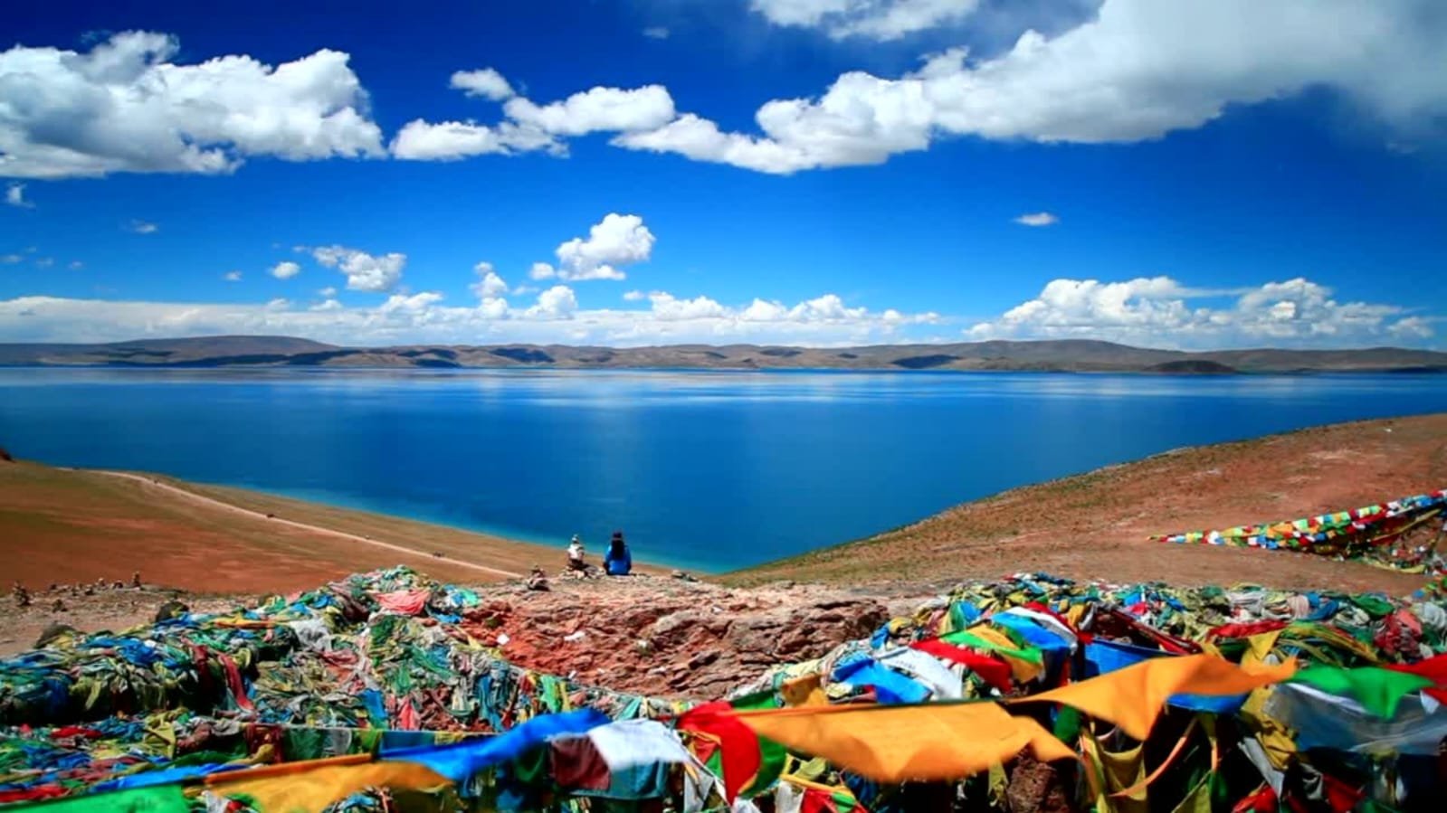 WhatsApp Image 2026-03-30 at 1.09.04 PM (1)