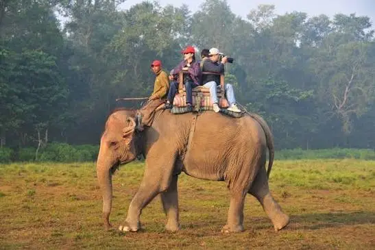 chitwan