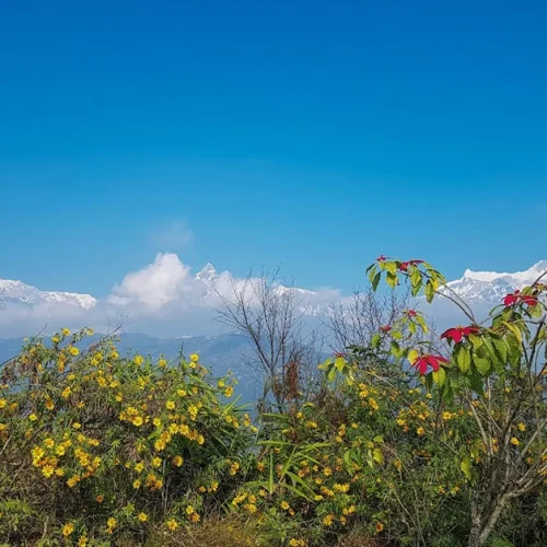 view-from-pokhara